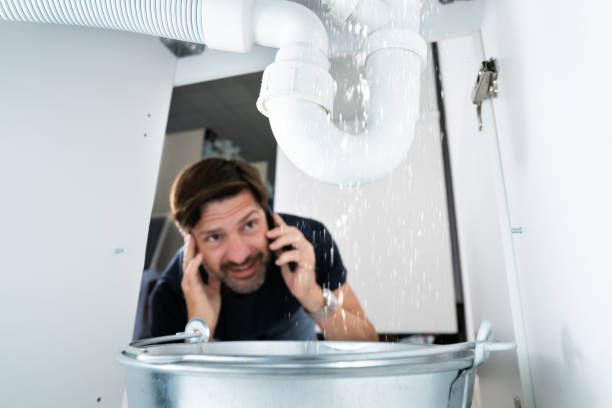 Best Water Leak Repair  in Covgton, IN